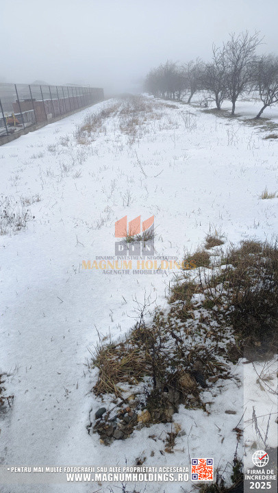 Teren Bradu, 3500 mp, intravilan, drum pe 3 laturi, toate utilitatile