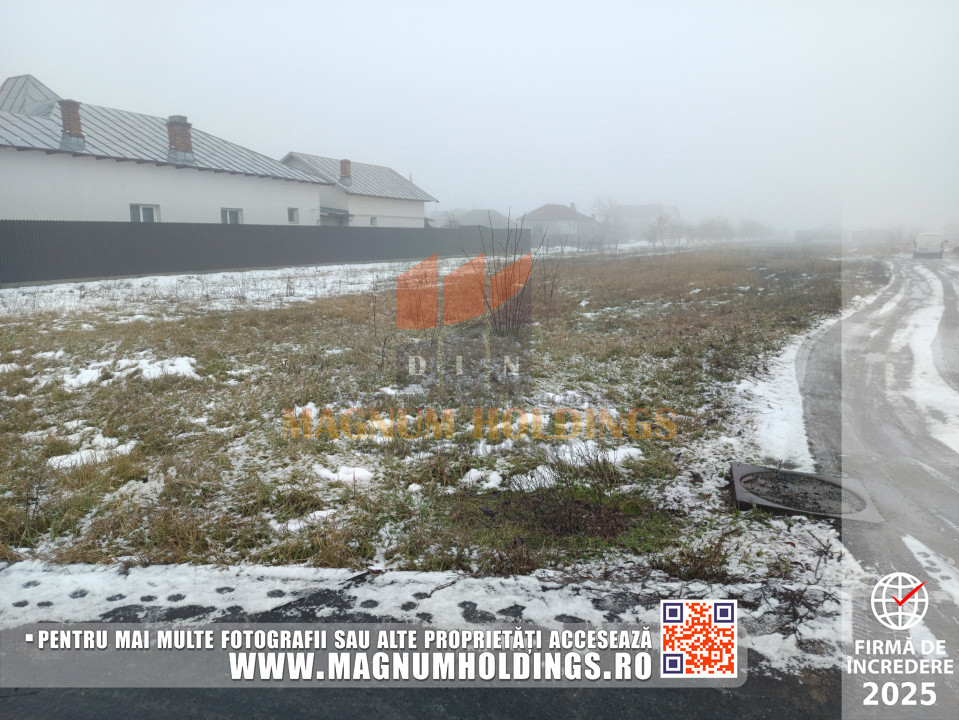 Teren Bradu, 3500 mp, intravilan, drum pe 3 laturi, toate utilitatile