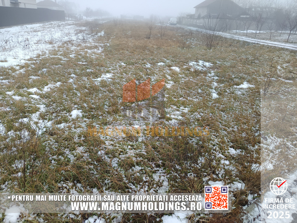 Teren Bradu, 3500 mp, intravilan, drum pe 3 laturi, toate utilitatile