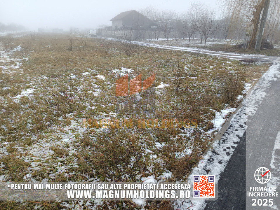 Teren Bradu, 3500 mp, intravilan, drum pe 3 laturi, toate utilitatile