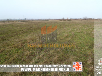 Teren Stefanesti, strada Sticlelor, 4600 mp