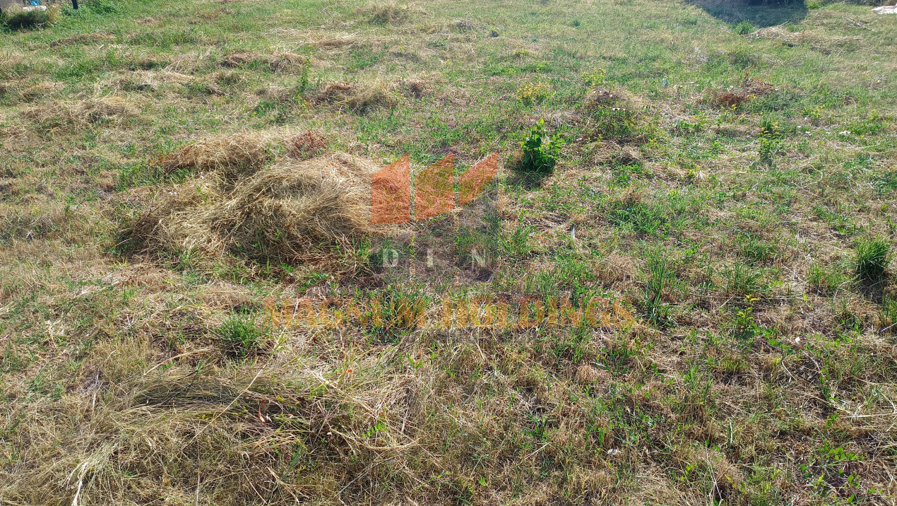Teren intravilan, Razboieni, regim P+2