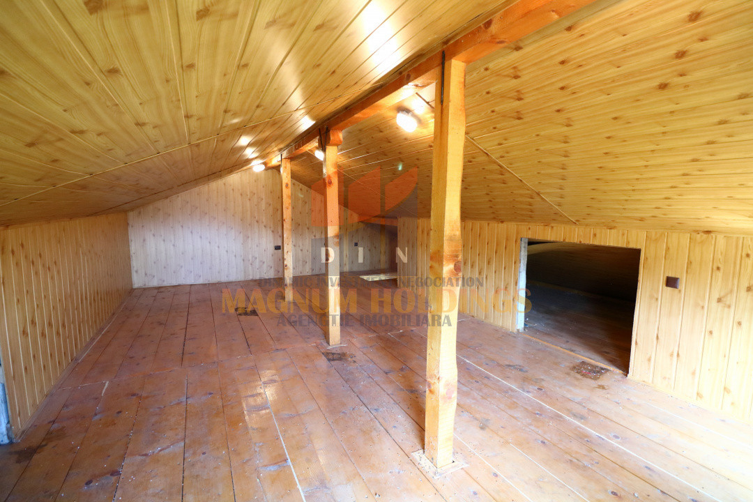 Casa Hintesti, 3 km de oras, 300 mp construiti, piscina, terasa