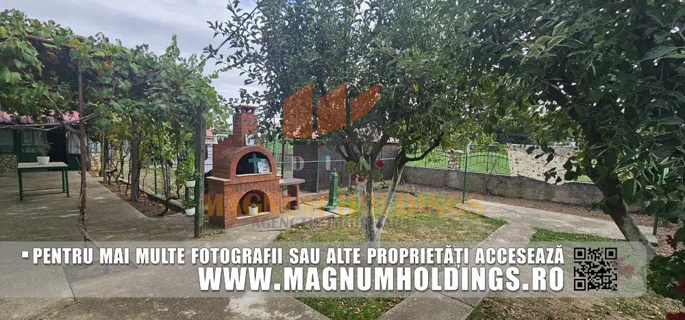 Casa 3 camere, Bradu, 750 mp teren